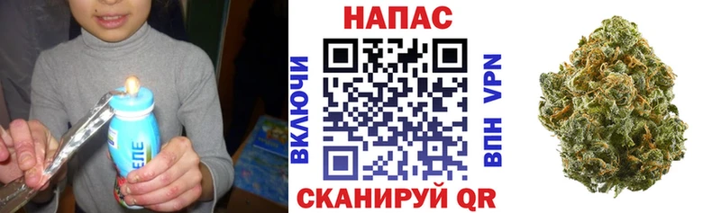 Каннабис MAZAR Городище